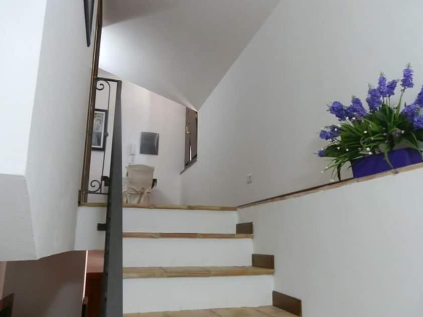 Agriturismo Ai Monaci Montano Antilia Extérieur photo